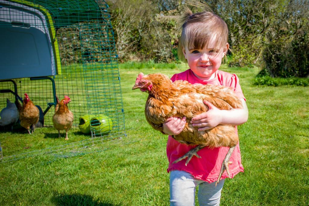 Cargurra Farm Villa Boscastle Eksteriør bilde